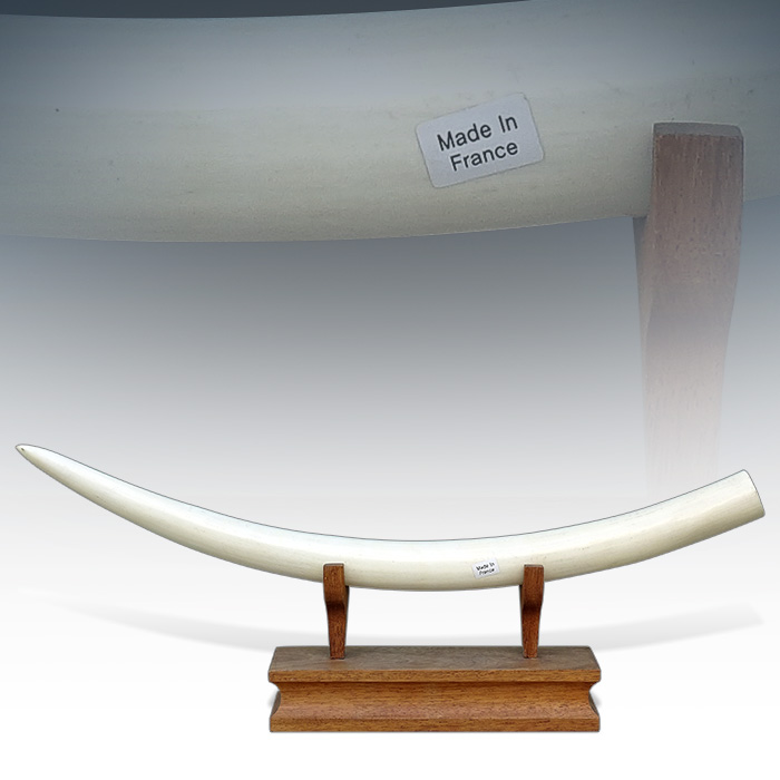 프랑스 수입 오리지널 코끼리 상아(68cm)
